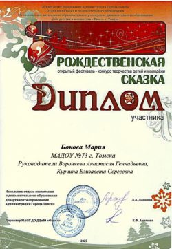 диплом Бокова