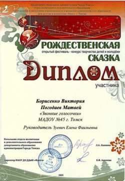 дипломБорисенко Погодаев